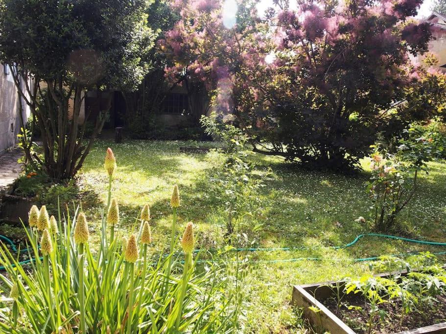 Le 7 Des Tonneliers Bed & Breakfast Castelfranc Екстериор снимка